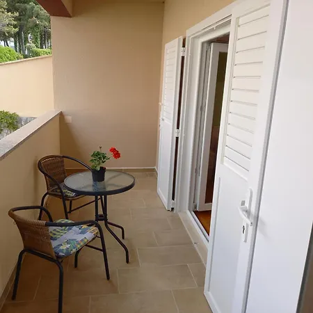 Summer Guest house