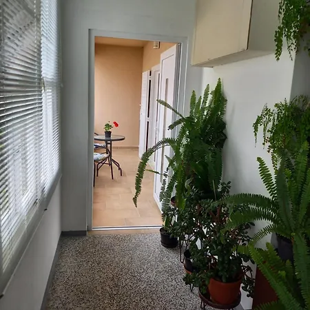 Affittacamere Summer 3*